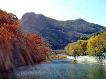 新澳天天免费资料大全，山东硅藻土